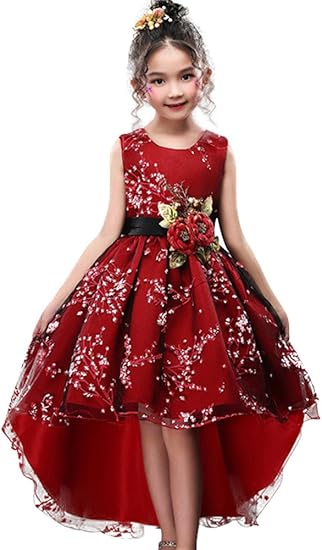 WEONEDREAM Princess Girls Dress for Wedding Birthday Party Events