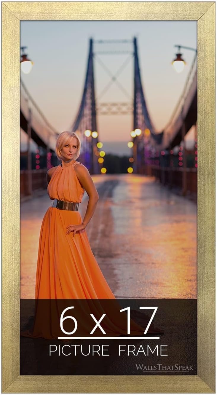 6x17 Gold Picture Frame for Puzzles, Posters, and Photos
