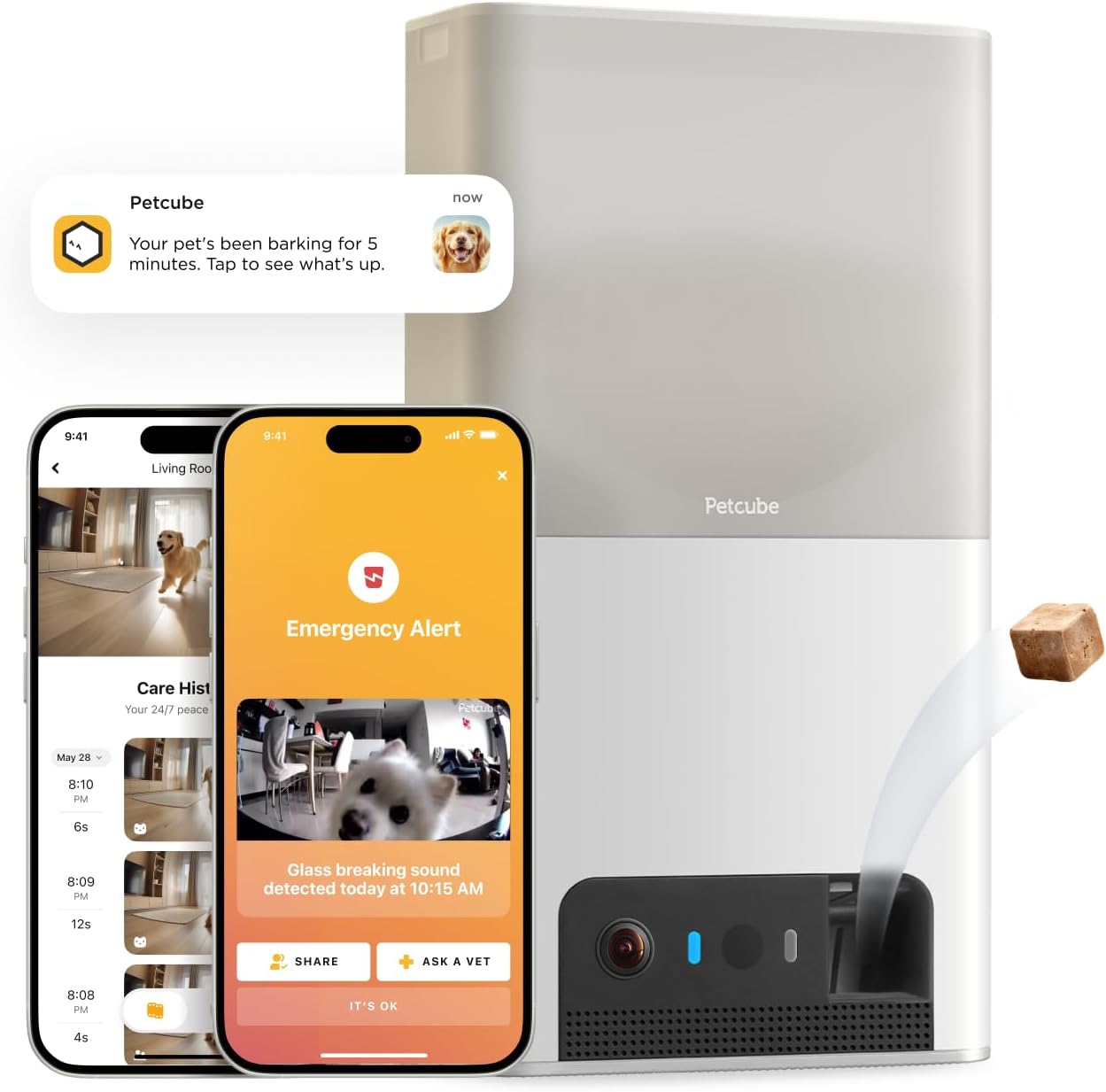 Petcube Bites 2 Lite Interactive Pet Monitoring Camera Review