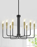 Sucolite 8-Light Black and Gold Chandelier - Modern Farmhouse Lighting