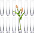 Glass Cylinder Bud Vases for Centerpieces, Set of 12 - Slim Handmade