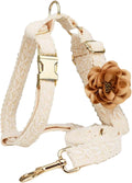 Dog Harness and Leash Set for Stylish Weddings and Birthdays