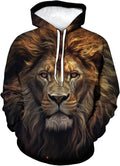 Lurhonp Lion Hoodie Funny Graphic Long Sleeve Sweatshirt Pullover