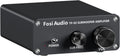 Fosi Audio TP-02 Subwoofer Amplifier for Powerful Bass Sound