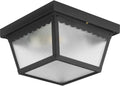 Progress Lighting 2-Light Flush Mount Ceiling Light - Traditional