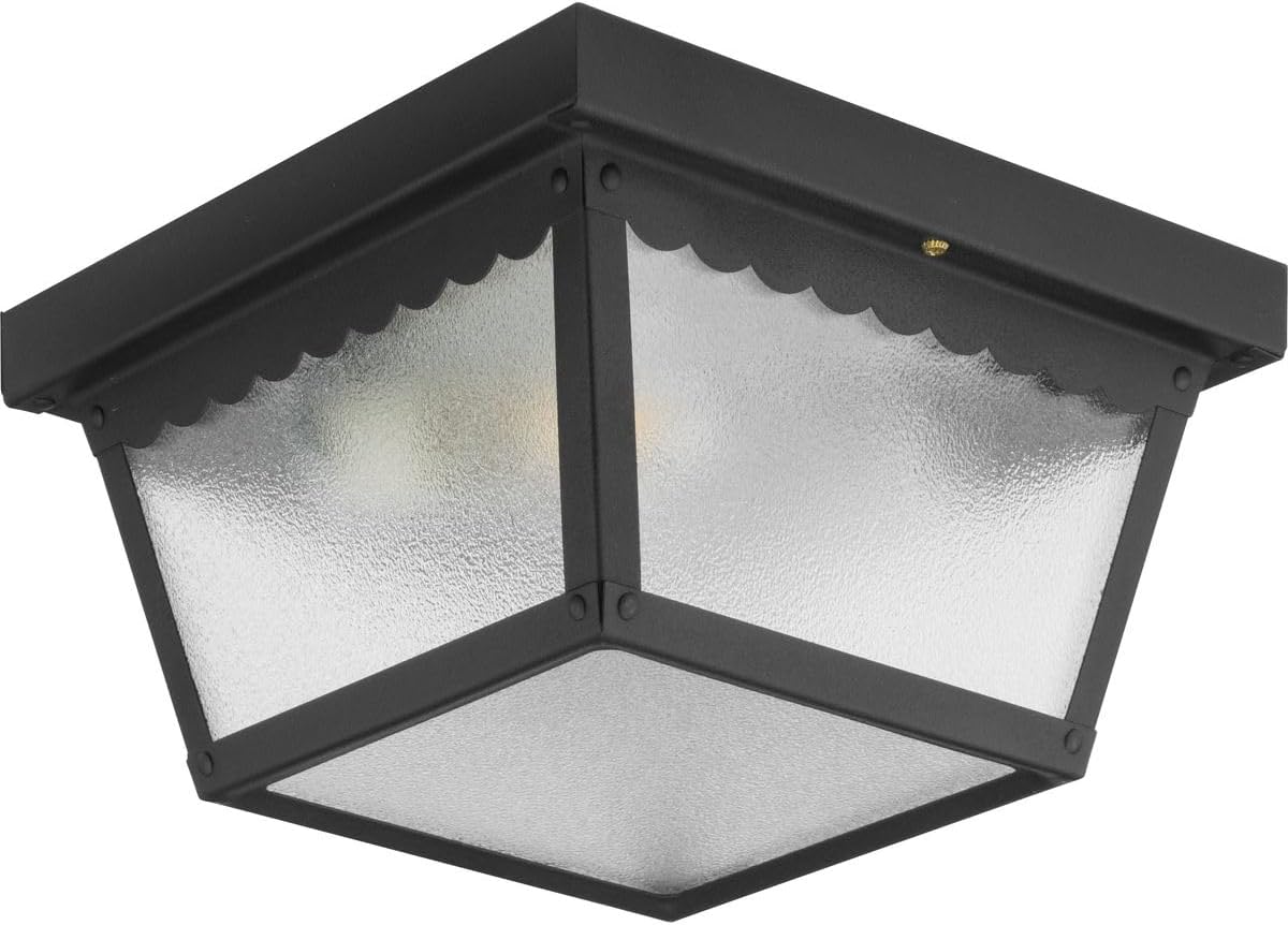 Progress Lighting 2-Light Flush Mount Ceiling Light for Indoor Outdoor
