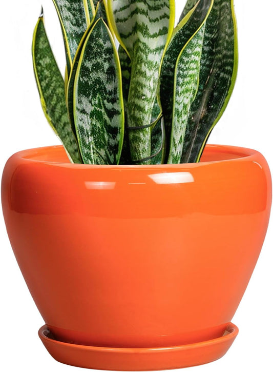 Indoor Plant Pot 8 Inch - Modern Ceramic Planter with Saucer