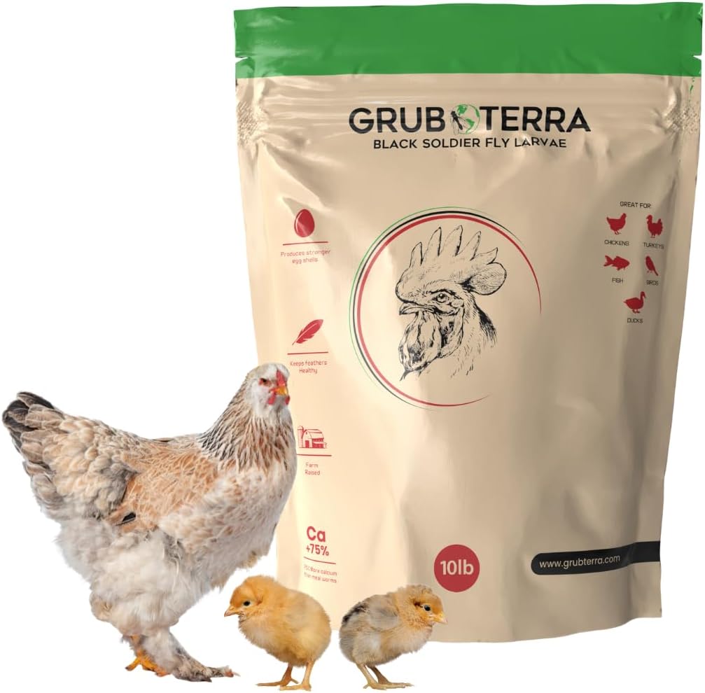 GrubTerra Golden Dried Black Soldier Fly Larvae for Chickens