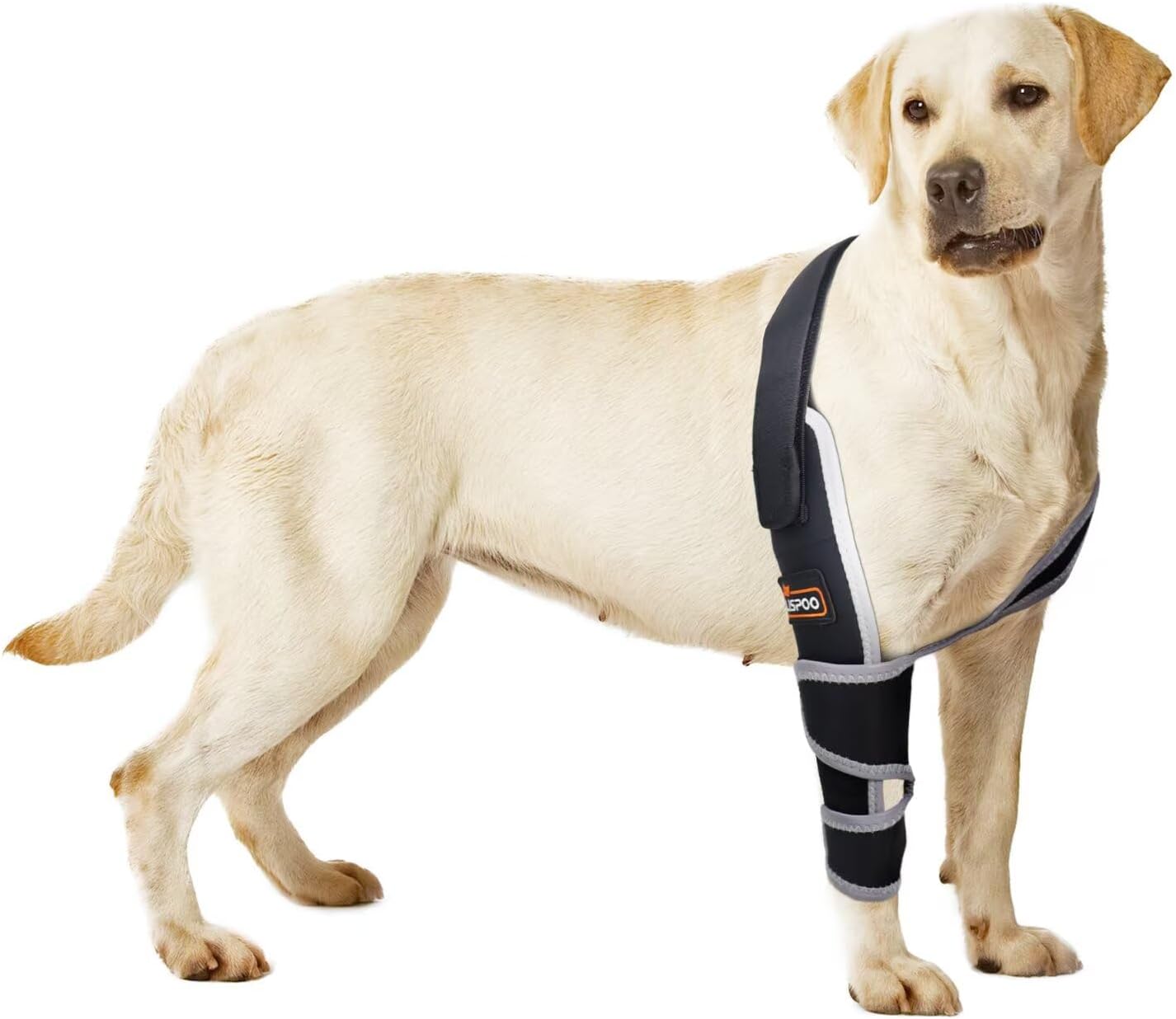 Dog Elbow Protector for Arthritis and Dysplasia Support