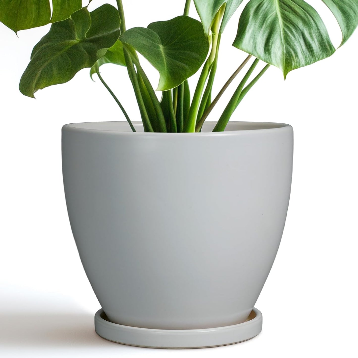 Ceramic Pots for Plants - 8 Inch Planter with Drainage Hole