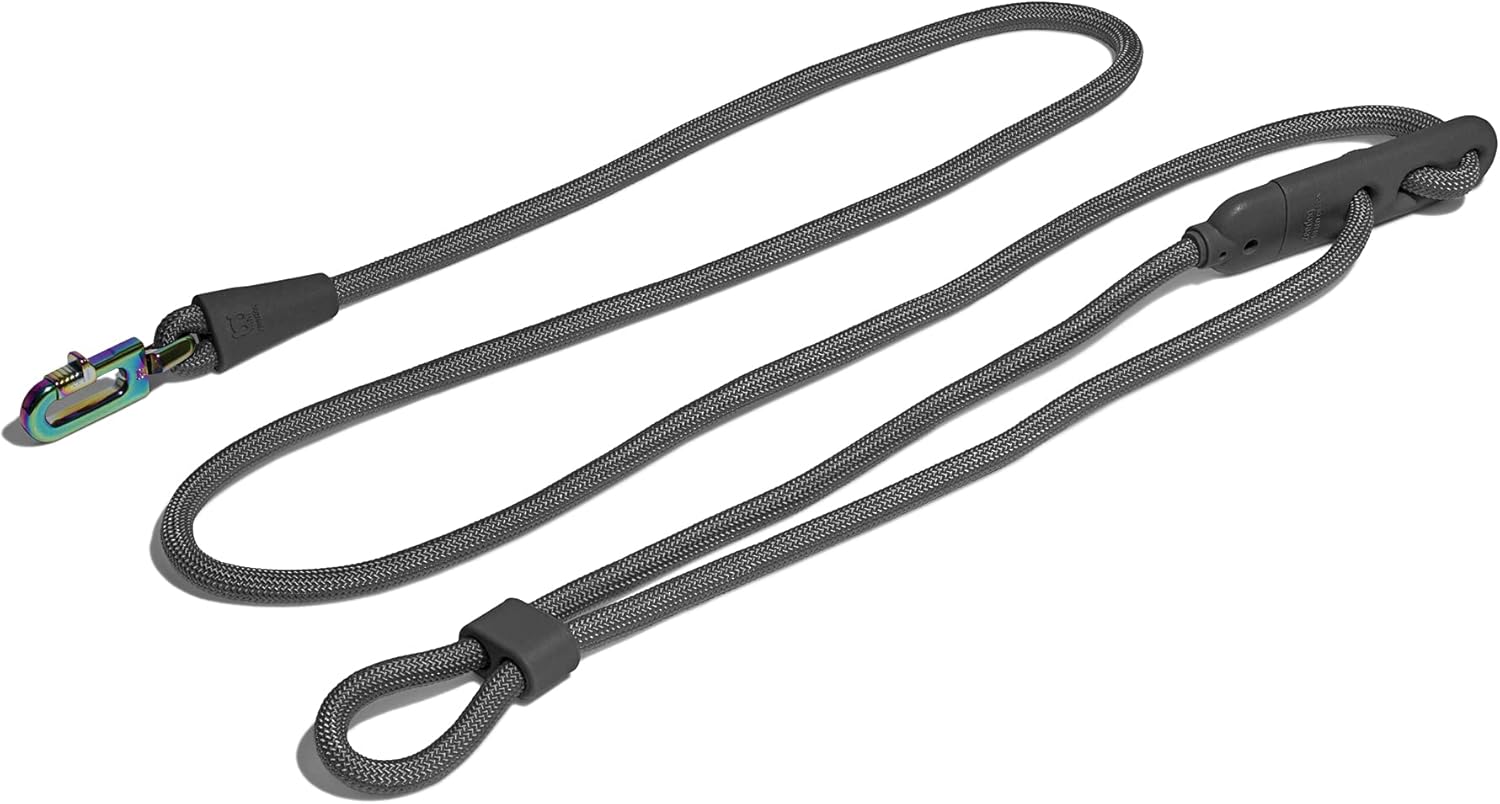 Titanium Grey 4-in-1 Hands-Free Dog Leash for Everyday Use