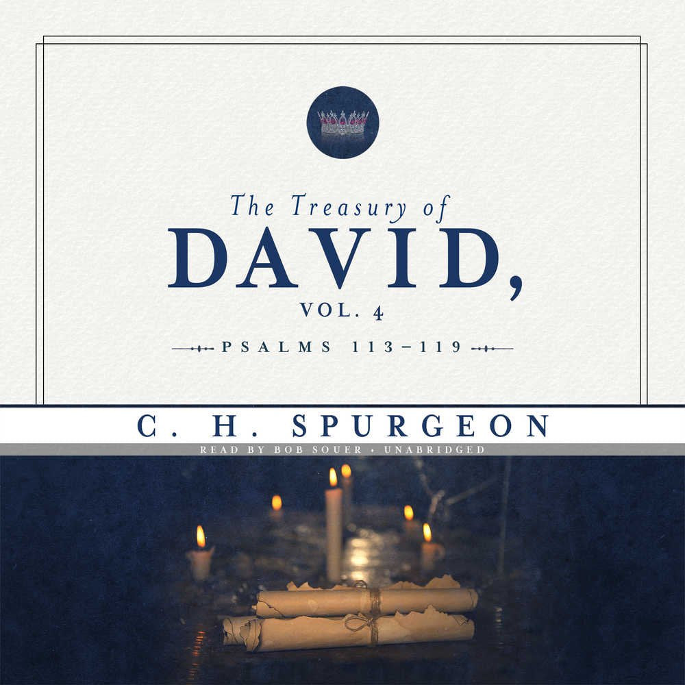 The Treasury of David, Vol. 4: Psalms 113-150 Review