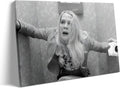 Vintage Framed Canvas Wall Art Bathroom Poster - Funny Black and White