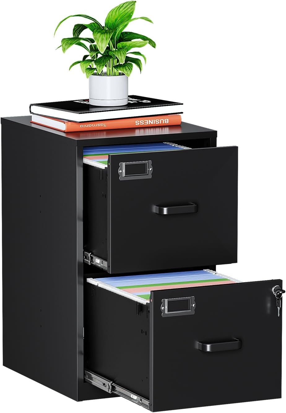 MIIIKO 2 Drawer Filing Cabinet with Lock for Home Office Use