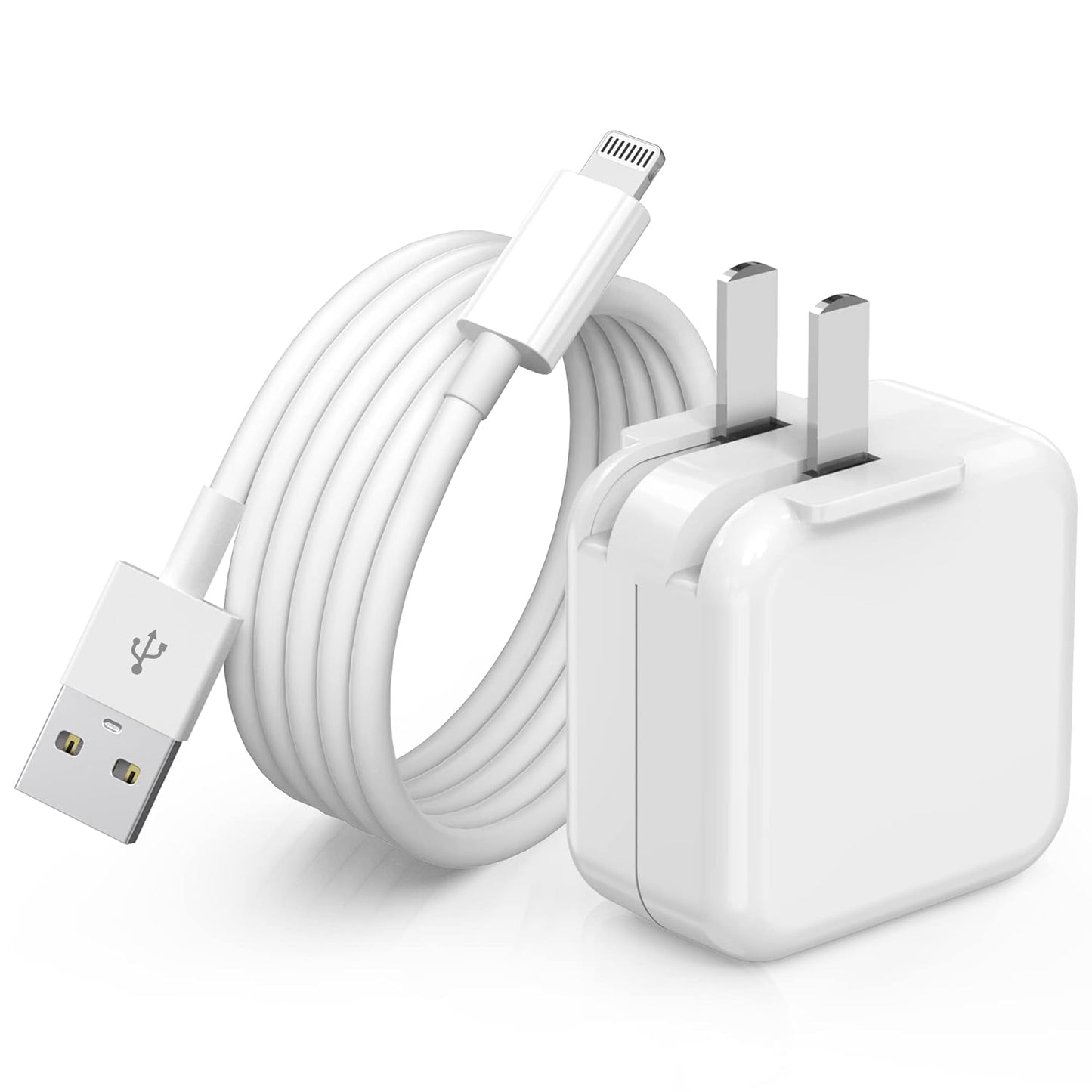 Fast Charge Travel Set: iPhone & iPad Charger + 6.6FT Lightning Cable