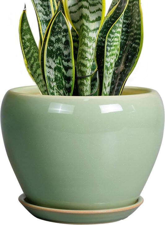 8 Inch Ceramic Plant Pot with Drainage Hole for Indoor Outdoor Use