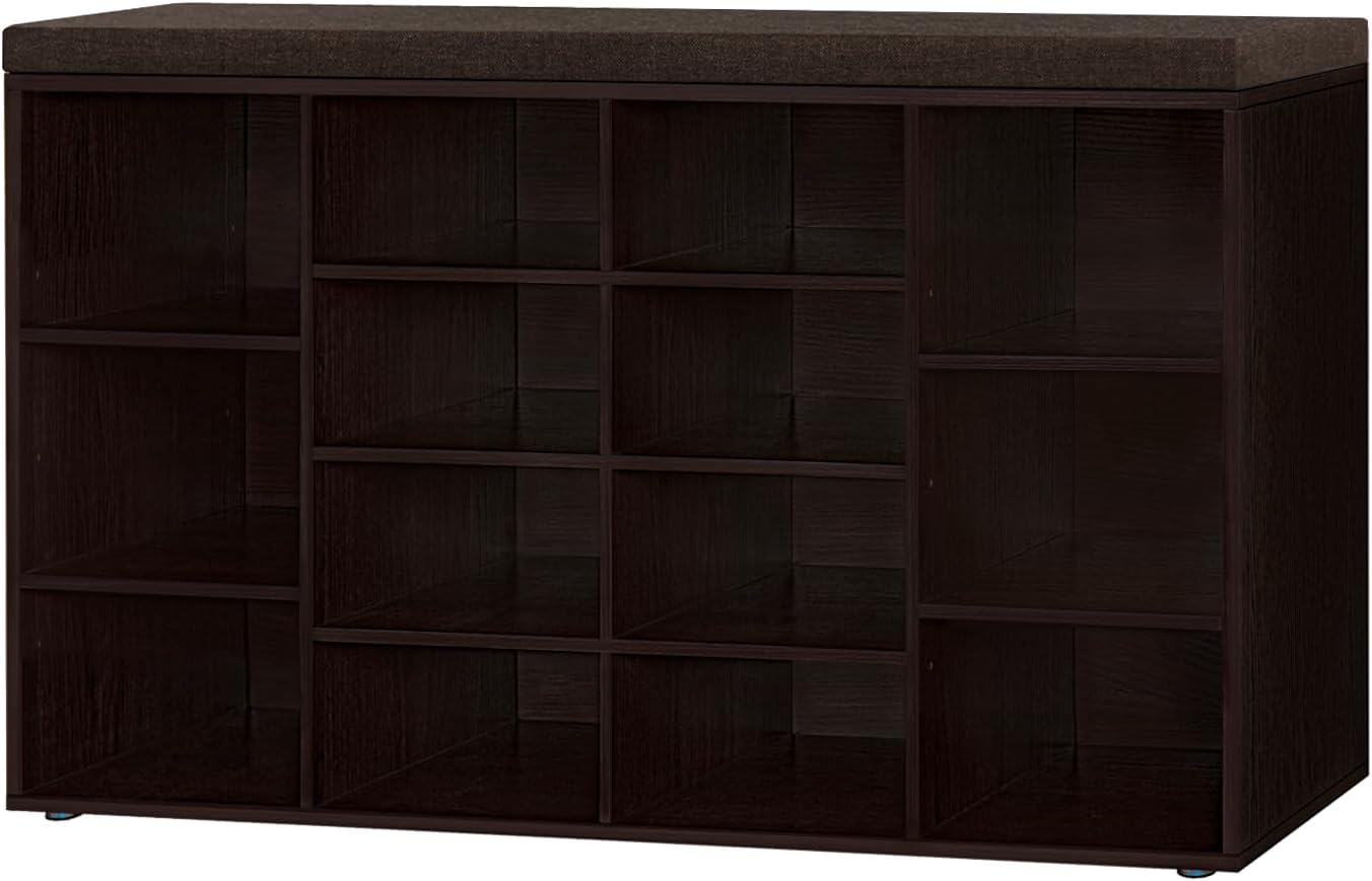 DINZI LVJ Shoe Storage Bench with Cushion for Entryway Organization