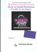 How to Build Business Credit in 30 Days Challenge - Practical Planner