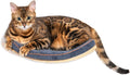 Cat Wall Shelves and Steps - Modern Floating Cat Climbing Perch