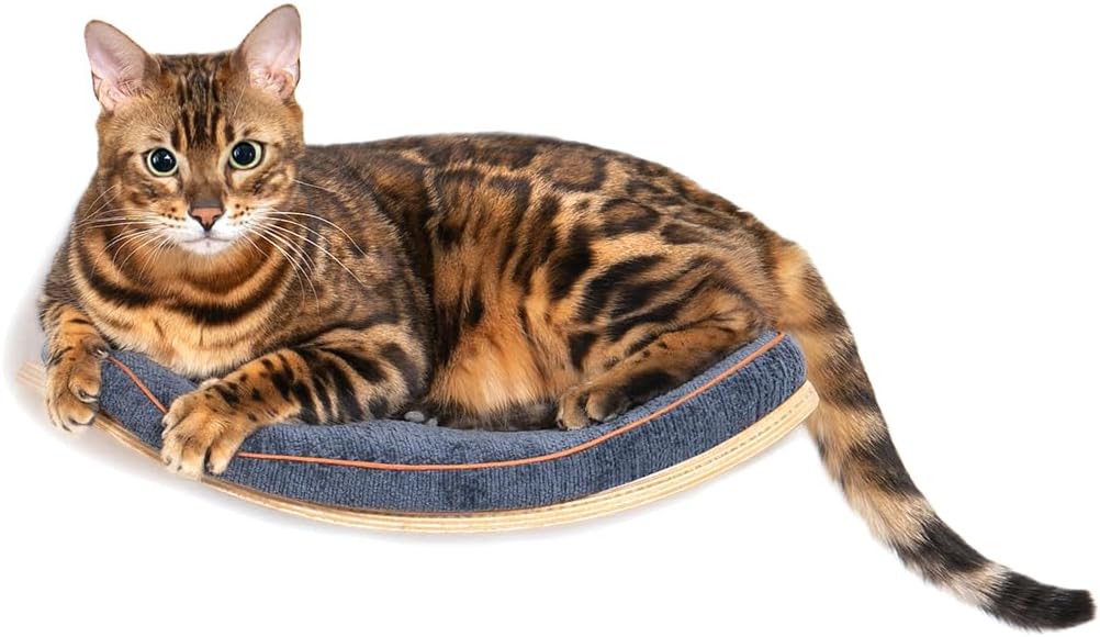 Cat Wall Shelves and Steps for Climbing and Sleeping Comfort