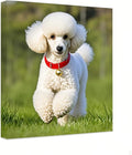 Personalized Photo to Canvas Print 24in x 36in - Custom Wall Art