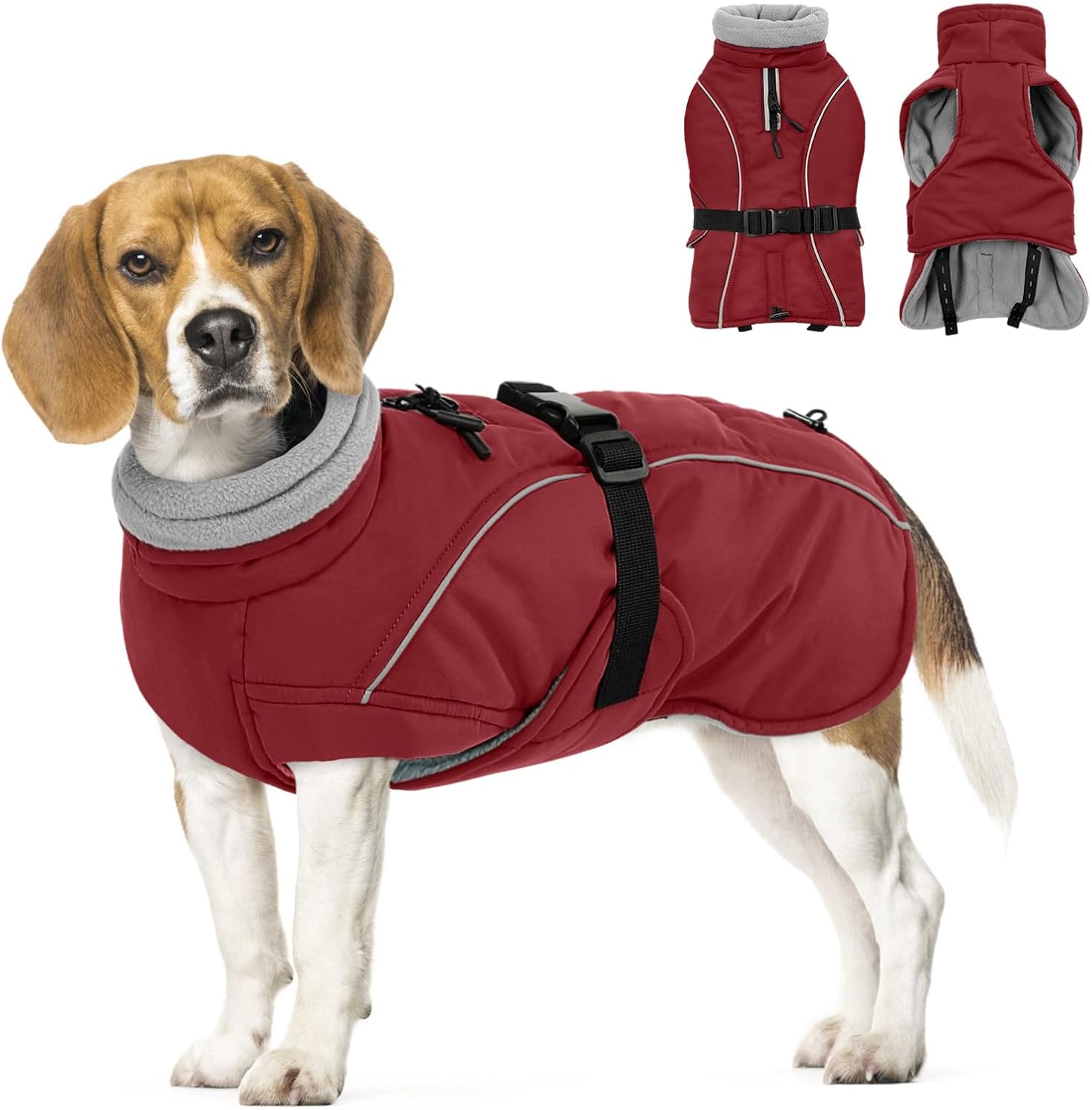Queenmore Small Dog Coat - Waterproof Puffy Snowsuit for Winter