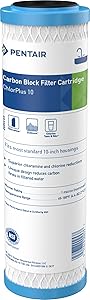 Pentair Pentek ChlorPlus10 Carbon Water Filter for Clear Water