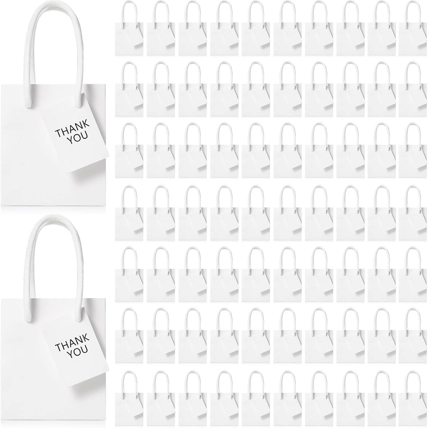 Sherr Mini Gift Bags Bulk - Perfect for Parties and Weddings