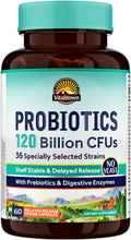 120 Billion CFU Probiotics 36 Strains - 60 Delayed Release Caps