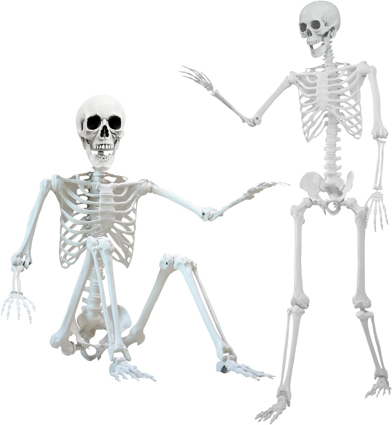 5.4 ft Halloween Poseable Skeleton for Spooky Decorations