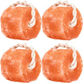 Himalayan Mineral Salt Block on Rope Pack of 4 - Natural Livestock