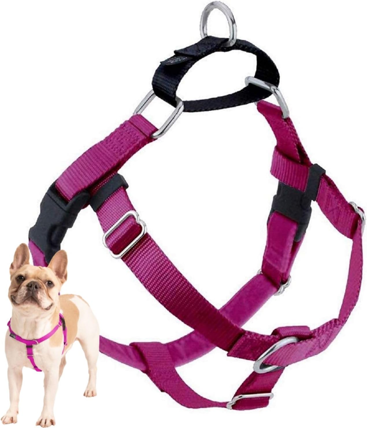 Freedom No Pull Dog Harness for Easy Walking & Control