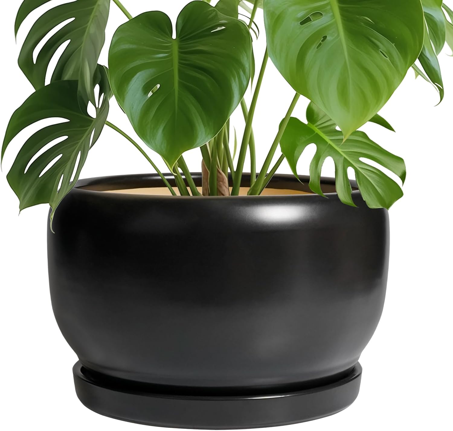 SQOWL Ceramic Flower Pot - 10 Inch Modern Planter with Saucer