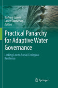 Practical Panarchy for Adaptive Water Governance - Expert