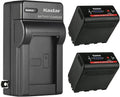 Kastar 2-Pack Battery and AC Wall Charger for Sony Camcorders