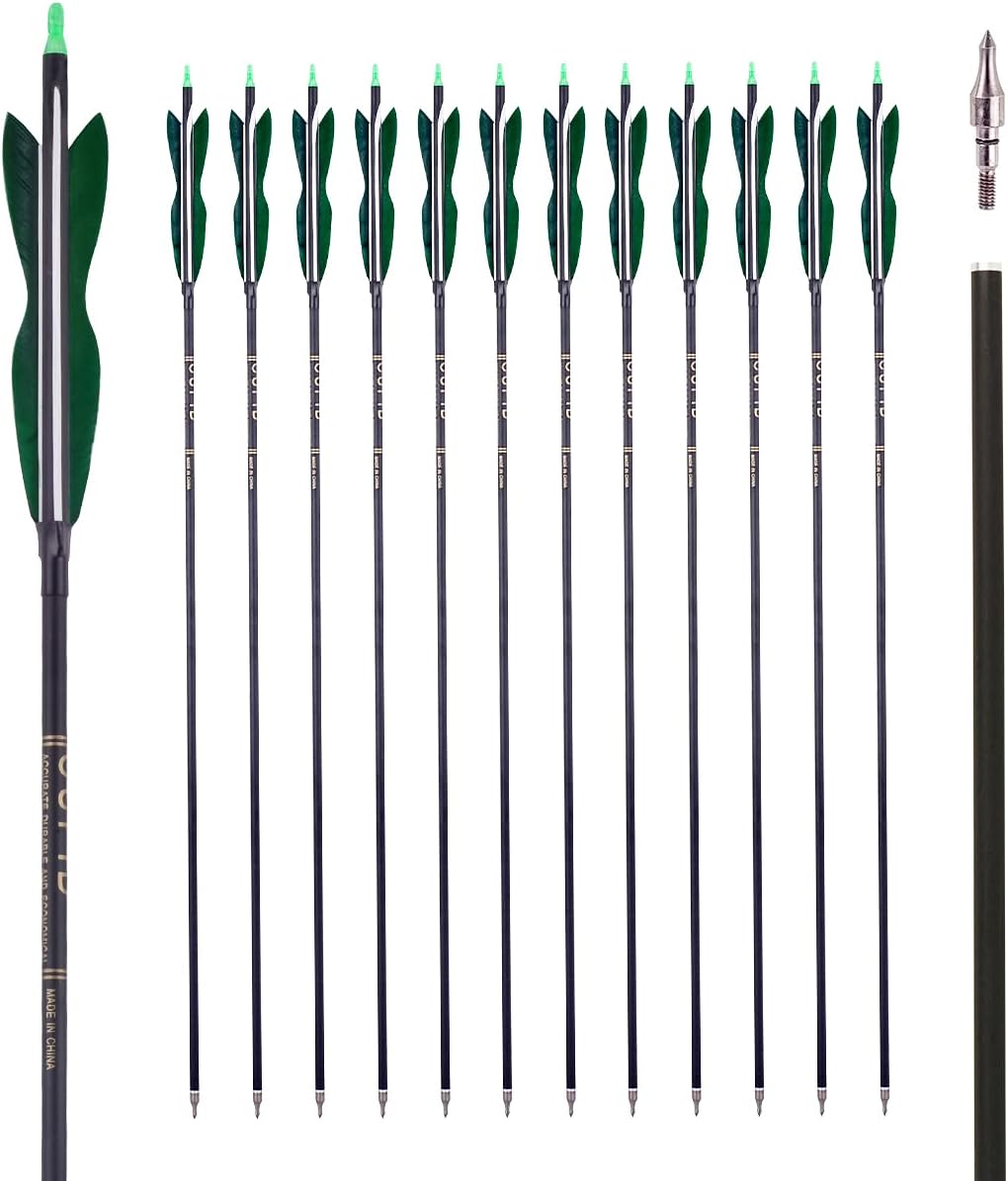 31 Carbon Hunting Arrows for Recurve and Compound Bow Practice