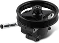 20-282P1 Power Steering Pump for Ford F150 and Crown Victoria