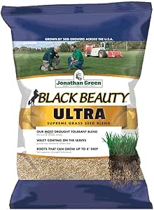 Black Beauty Ultra Lawn Repair by Jonathan Green for Lush Lawns