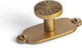 Goo-Ki Zinc Alloy Cabinet Knob with Backplate - Antique Brass 6 Pack