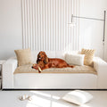 Sofa Cover Fuzzy Couch Cover for Pet - Non-Slip Washable Protector Our