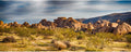 Dusk Gobi Desert Vinyl Photography Backdrop 15x8ft - Scenic Studio