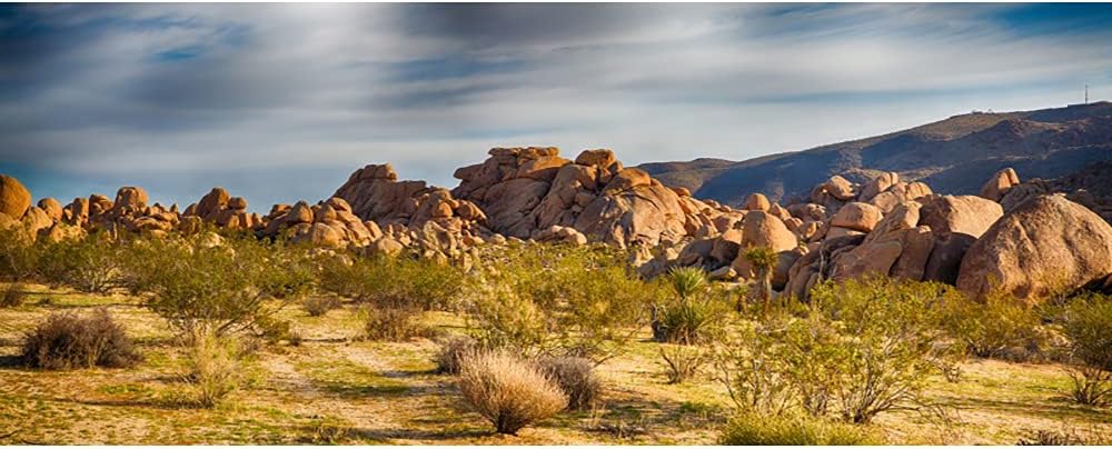 Laeacco Dusk Gobi Desert Scenic 15x8ft Vinyl Photography Backdrop
