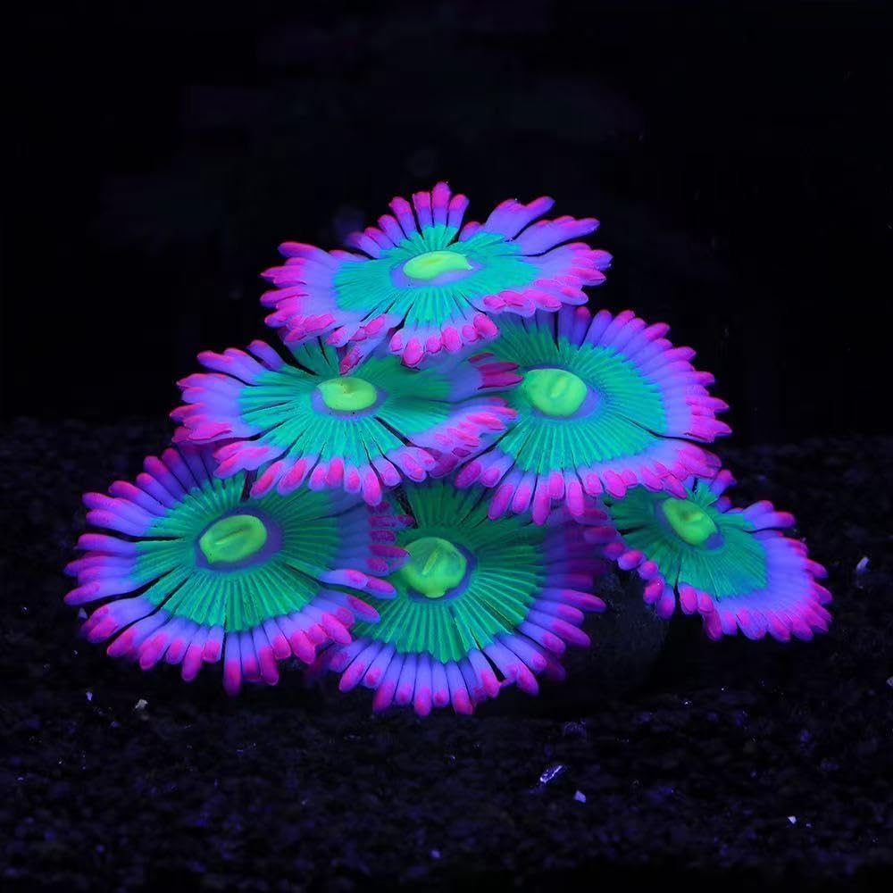 Silicone Glow Anemone Aquarium Decor - Illuminate Your Tank!