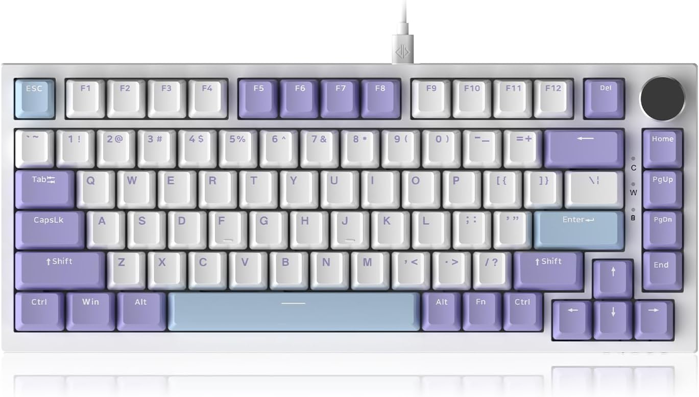 DAIDAIAJAZZ AK820: High-Performance RGB Mechanical Keyboard