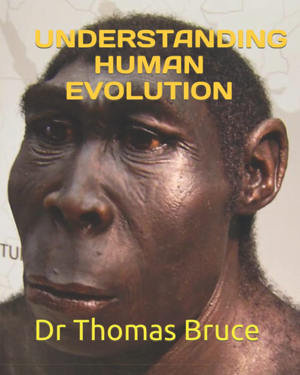 Understanding Human Evolution: A Comprehensive Guide to Our Past