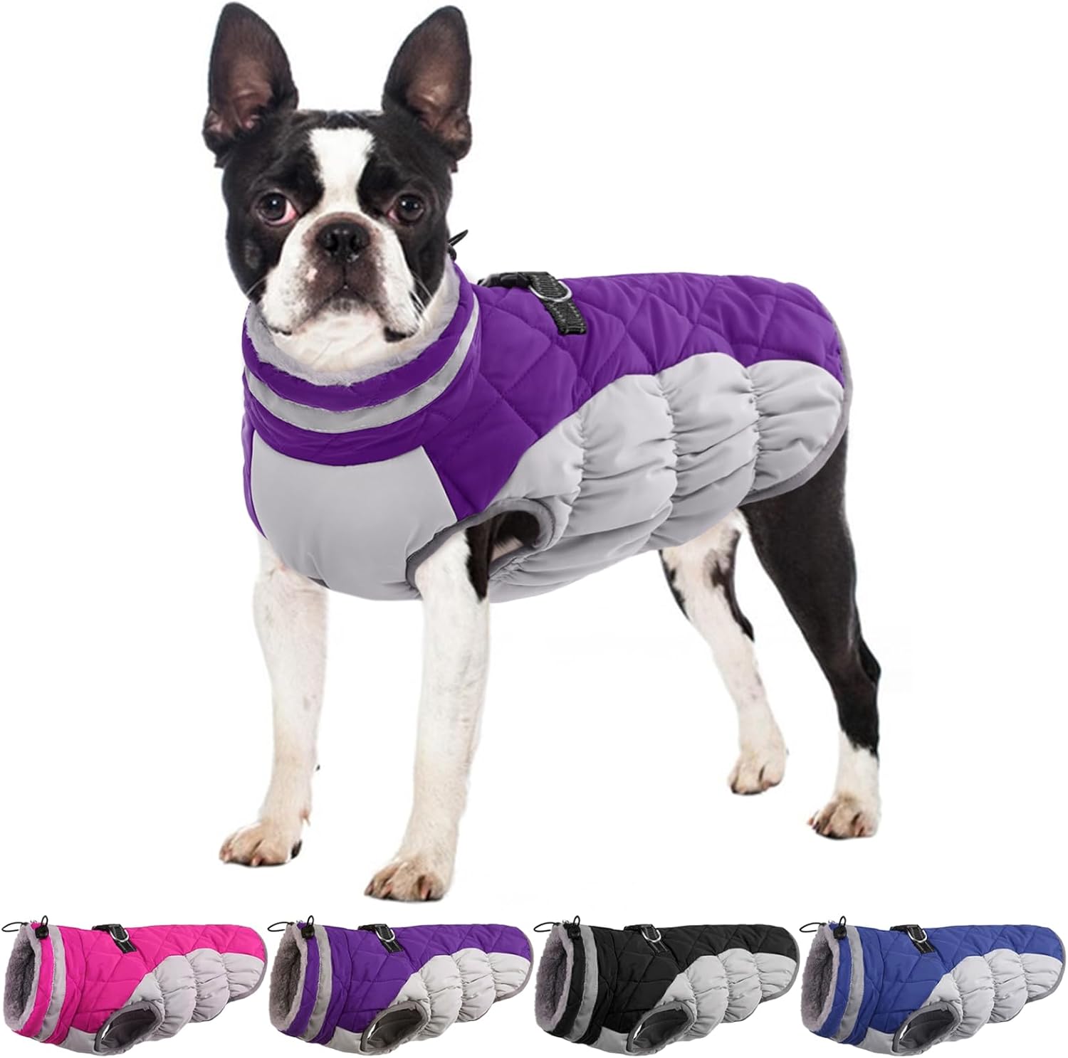Warm and Cozy Dog Jackets for Medium Dogs in Purple Color
