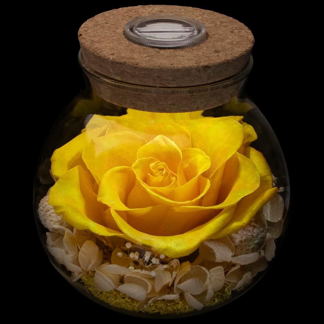 Preserved Real Roses with Colorful Mood Light Wishing Bottle