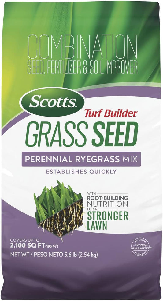 Scotts Turf Builder Grass Seed Perennial Ryegrass Mix for Lawns