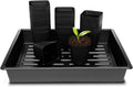 3.15 in Square Nursery Pots 100 pcs with 5 Trays - Seedling Starter