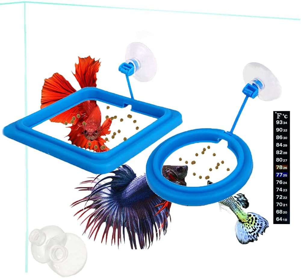 Fish Feeding Ring Set - Easy Feed, Happy Fish!